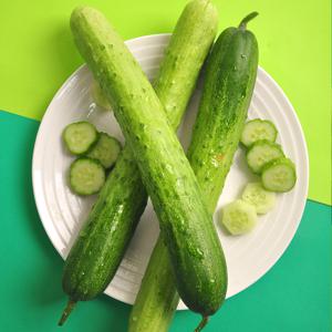국내산 백다다기오이 백오이 1kg