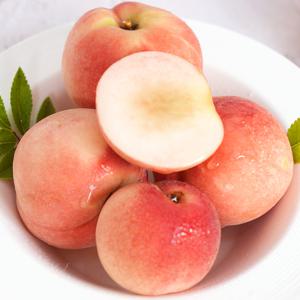 경북 대극천 납짝이 복숭아 소과 로열과 1kg 2kg 3kg