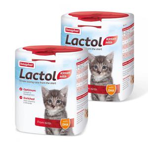 비아파 락톨키티 고양이 분유 대용량 500g 1+1