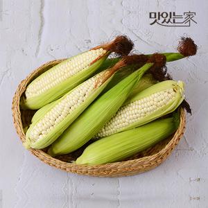 전라도 햇 미백 찰 옥수수 10개입(특품/14cm이상) 外 수량별