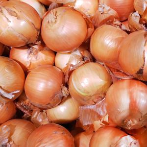 양파 무안양파  25년 국내산 단단한 무안 양파 꼼꼼선별 5kg 특소/특대
