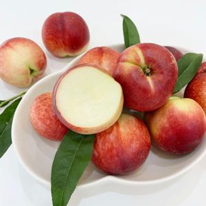 신비복숭아 딱딱이복숭아 임산부 천도 복숭아 딱복 백도 황도 1kg/예약(13일이후 순차출고)/타이벡 프리미엄