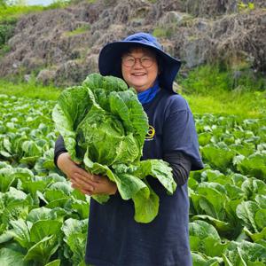 순옥이네 고소한 봄 배추 통배추 7kg내외(2개)