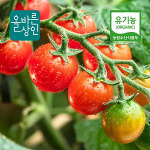 유기농 방울토마토 농장직송 당일수확 당일발송 1kg 크기혼합