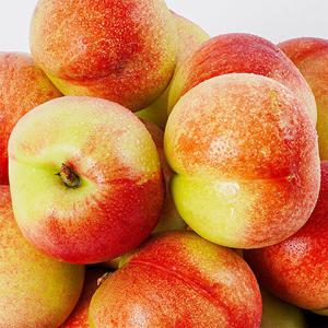 신비한맛 신비복숭아 중대과/중과 1kg(8-11과 내외) 예약판매 6월 13일 출고