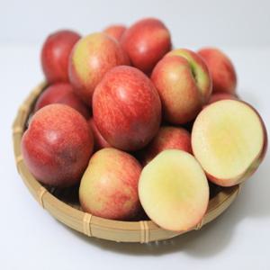 복숭아 신비복숭아 5kg (65과 이내) 예약 특가판매 6/12일 순차출고