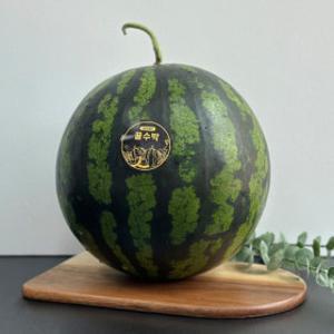 (신선집중) 20%/ 달콤한 하우스 수박 가정용 6kg (6-7kg 내외)