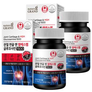 MSM 엠에스엠 조인트 글루코사민 60정 2통 2개월분