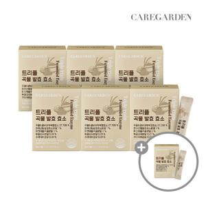 케어가든 트리플 곡물 발효효소 6박스 6개월분 콤부차 호라산밀 파인애플 유산균 식이섬유 효소 1박스 증정