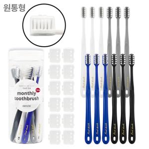 덴클 편리한 휴대용칫솔 먼슬리 칫솔 12개+12개