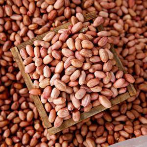 (신선집중) 20% 볶음알땅콩 500g x 2봉 총 1kg