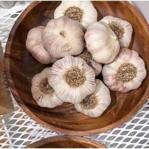 당일수확 제철 햇 통마늘 3KG 특대 2025년 창녕 햇 통마늘