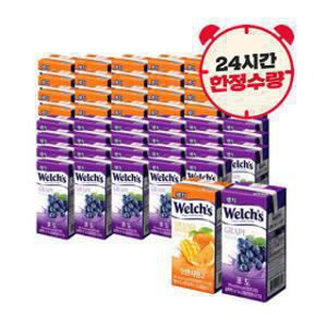 웰치스 드링크 190ml 포도24개+오렌지망고24개