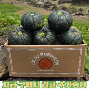 제주 산지직송 햇 보우짱 단호박 밤호박 2kg 하우스 감귤 추가증정