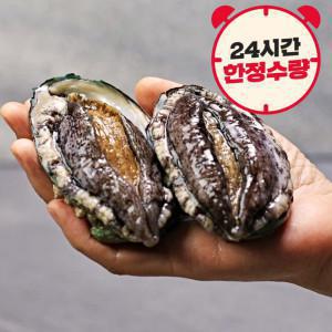 (신선집중) 전복 산지직송 완도 활 전복 1kg(10-11미)/특대+손질도구 포함