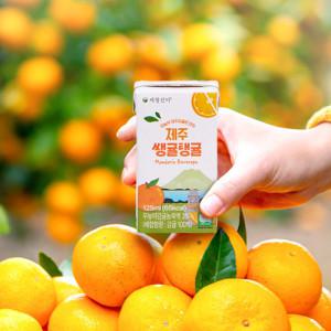 제철진미 쌩귤탱귤 제주 무농약 감귤쥬스 125ml 1박스 24개입