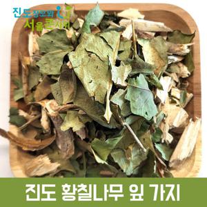 진도산 말린 황칠나무 잎 가지 300g  10년이상 나무