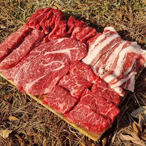 (신선집중) 배터지는 소고기 모듬 세트 1kg 등심 세트 구성 (무료배송) 소고기모둠