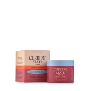데일리 케어 및 건성 피부용 현재 상태 뱀부 아미노 메가 모이스처 크림, 1.7 fl oz