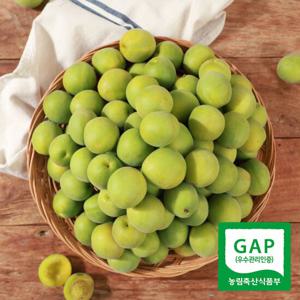 [6/9 순차출고] 광양매화골매실 매실 왕특 10kg(청매실 엑기스용)