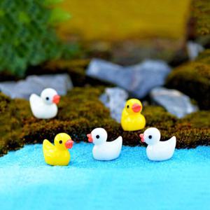 [포레스] 테라리움오리(백색 노랑 10개입)