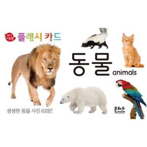 [은하수미디어] 아기지능방 플래시카드 동물