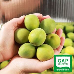 [6/9 순차출고] 광양매화골매실 청매실  상품 5kg (청매실 엑기스용)