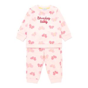 [블루독베이비8] SS25 나비상하세트 HJ (4517067204) (BLUEDOG BABY 유아 출산 백일 선물 도트 강아지 내복