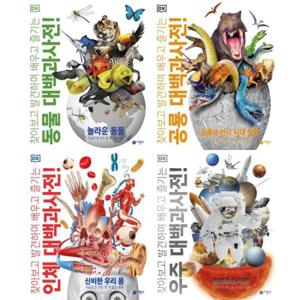 [비룡소] DK 대백과사전 세트 (전4권) 동물+공룡+인체+우주
