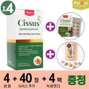 뉴질랜드 파이오라 시서스 225g 4개 + 시서스 40정 + 뉴질랜드 녹용캔디 4팩 (24S)