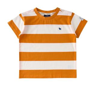 블루독6 (OR) 시그니쳐STRIPE티셔츠 (2537533212)