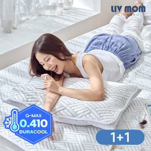 리브맘 매일 바꿔쓰는 듀라쿨 아이스냉감 베개커버 2개 50x70