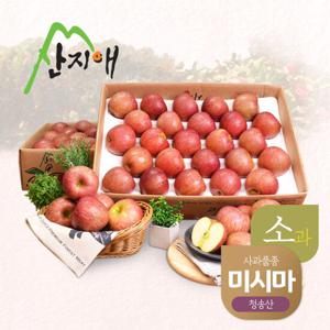 [산지애] 알뜰 못난이 어린이 사과 9kg(4.5kg*2box)