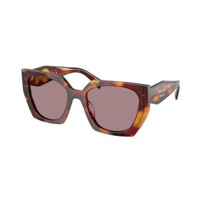 프라다 선글라스 PR15WS 22A20I Havana