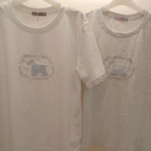 Latium HC06 얇고 부드러운 소매밑단레이스배색 도그 라운드 반팔 면티 T2523ts50