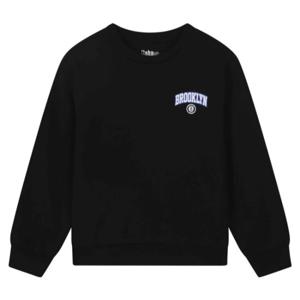 [NBA KIDS]BOS 팀 그래픽 맨투맨 K251TS030P19