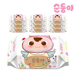 순둥이 페인터 에디션 아기물티슈 캡형 100매 10팩/pBpC-01