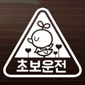 아트박스/제제데코 초보운전_삐약이_세모 [자동차스티커/초보운
