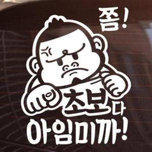아트박스/제제데코 쫌  초보다 아임미까  [자동차스티커/초보운