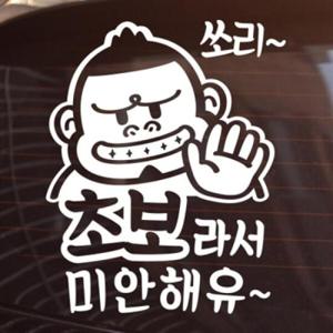 아트박스/제제데코 초보라서 미안해유 [자동차스티커/초보운전스
