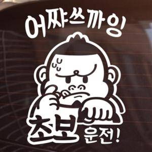 아트박스/제제데코 초보운전_어쨔쓰까잉 [자동차스티커/초보운전