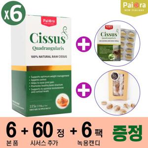 뉴질랜드 파이오라 시서스 225g 6개 + 시서스 60정 + 뉴질랜드 녹용캔디 6팩 (36S)