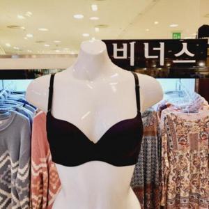 대백SG 비너스 VBRQ451A B OB,BK 리본포인트