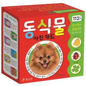 [효리원] 동식물 사진카드  112장
