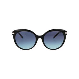 티파니앤코 선글라스 0TF4189B 80019S black