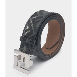 FENDI Belts 7C0404AHUTF1GLV
