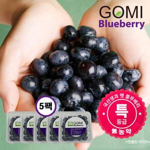 고미 친환경 무농약 국내산 생 블루베리 100g*5팩