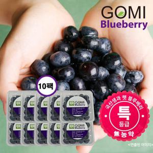 고미 친환경 무농약 국내산 생 블루베리 100g*10팩