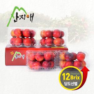 산지애 자두 3kg (750g * 4팩)