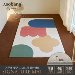 [아소방] 시그니처 유아 놀이방매트 컬러오브제 250
